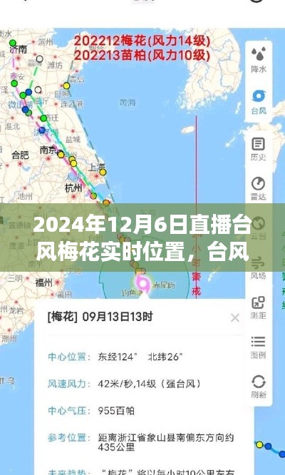 台风梅花最新动态，直播解析梅花实时位置与未来趋势