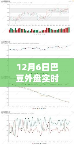 巴豆外盘最新实时走势解析，洞悉市场动态，掌握最新动态分析