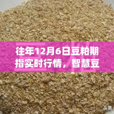 科技引领期货新时代，豆粕期指实时行情掌握系统上线，市场脉动尽在掌握
