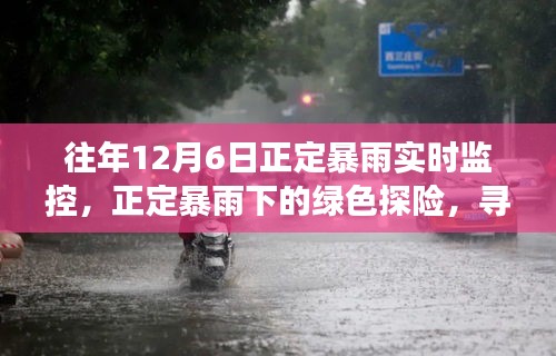正定暴雨下的心灵探索，绿色探险与实时监控之旅
