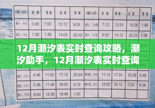 第941页