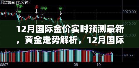 最新解析，黄金走势预测与12月国际金价实时动态