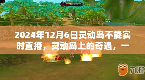 未能实时直播的灵动岛奇遇，一次温馨日常的错过
