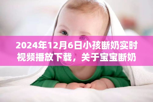 张灯挂彩 第2页