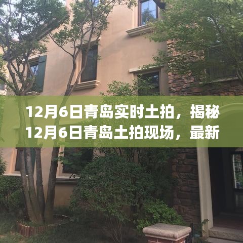 攀高结贵 第2页