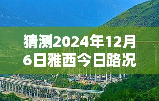 一花独放 第3页