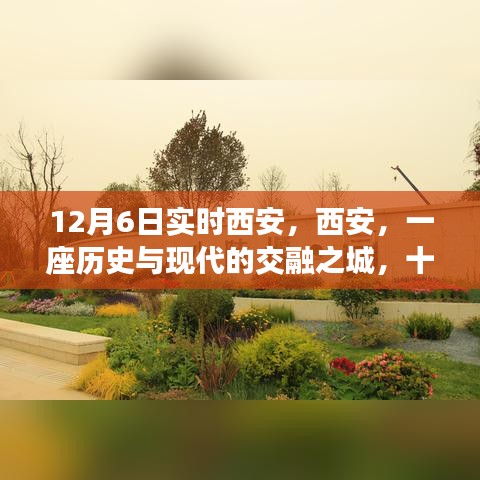 首鼠两端 第2页