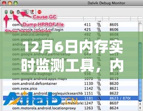 建议，内存实时监测工具的价值、挑战与我的观点——深度解析与探讨（附日期）