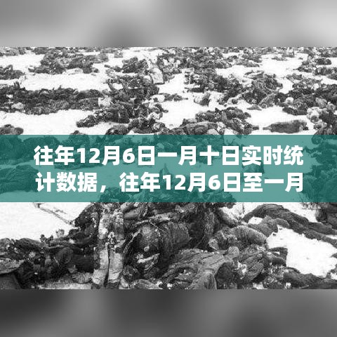 历年12月6日至一月十日统计数据深度解析报告