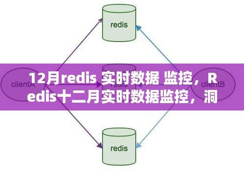 Redis十二月实时数据监控，洞悉性能动态，保障系统稳健运行