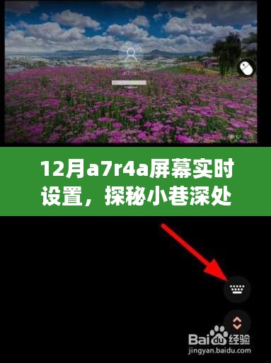 探秘小巷深处的隐藏瑰宝，揭秘A7R4A屏幕实时设置之旅