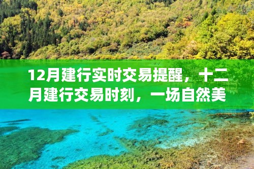建行交易时刻与心灵觉醒的自然美景之旅