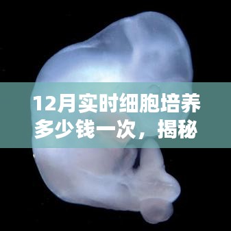 神采飞扬 第2页