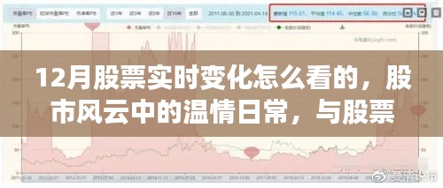 股市风云中的温情日常，揭秘十二月股票实时变化与日常共舞的日子