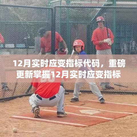 掌握实时应变指标代码，开启小红书进阶之旅的必备利器