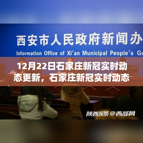 深度解析石家庄新冠实时动态更新，产品特性与用户体验评测报告