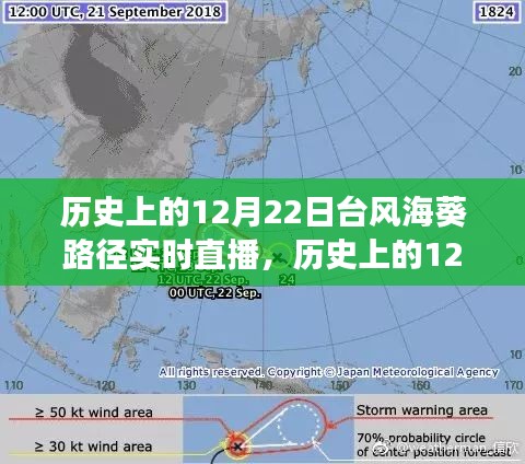 反朴归真 第2页