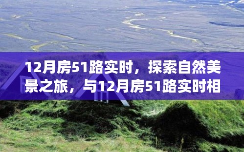 探索自然美景之旅，与12月房51路实时相遇，寻找内心的平和宁静之旅