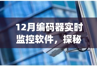 龙飞九五 第2页