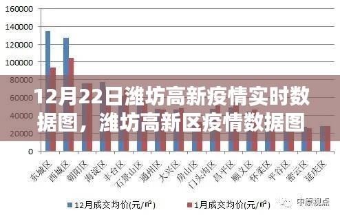 潍坊高新区疫情实时数据图，聚焦十二月二十二日的动态与影响