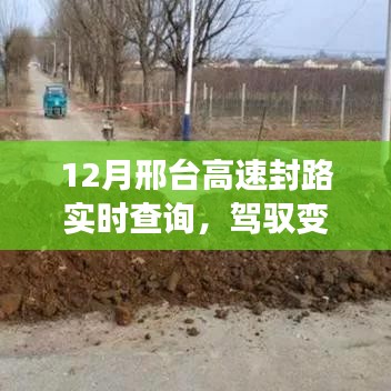 第871页
