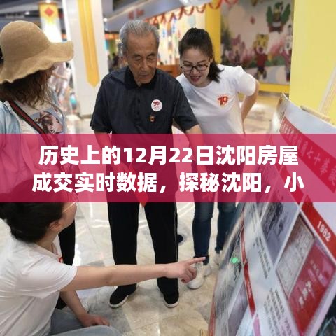 历史上的十二月二十二日沈阳房屋成交数据揭秘，探秘沈阳小巷深处的宝藏！