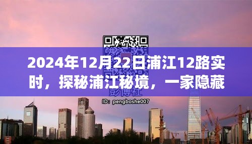 探秘浦江秘境，浦江十二路之旅的特色小店之旅