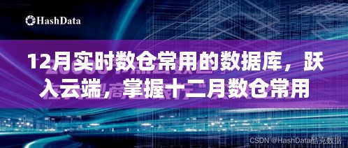 掌握云端数仓利器，十二月实时数据库应用指南开启数据之旅，成就数据自信之源