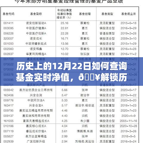 📊揭秘历史基金实时净值秘籍，12月22日基金净值查询指南🔍小红书达人教你轻松掌握！