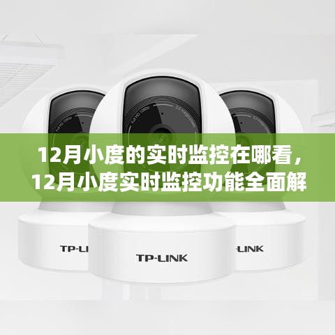 12月小度实时监控功能详解，特性、体验、对比及用户群体分析，实时监控查看指南