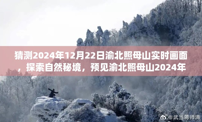 探索自然秘境，渝北照母山冬至日诗意画面预测——2024年12月22日实时画面展望