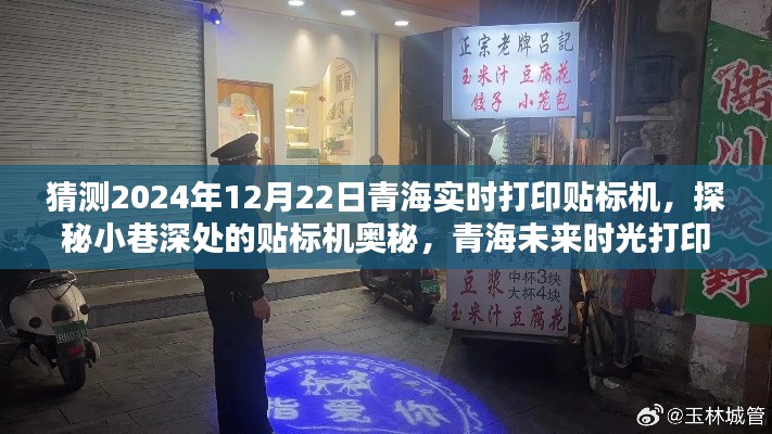青海未来时光打印贴标机探秘，小巷深处的贴标奥秘与实时打印贴标机展望（2024年12月）