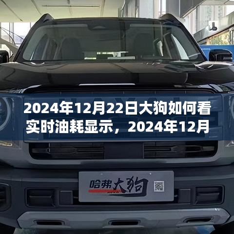 大狗实时油耗显示系统深度评测，功能解读与体验分享