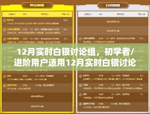 12月白银投资讨论组全攻略，从初学者到进阶用户的实战指南