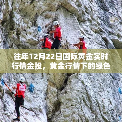 往年黄金行情下的绿色探险，黄金市场与自然美景的不期而遇的惊喜体验
