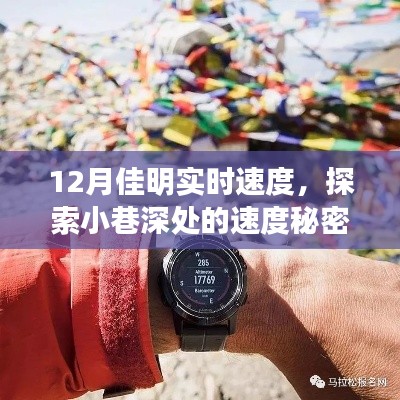 探索隐藏版佳明实时速度，小巷深处的速度秘密之店