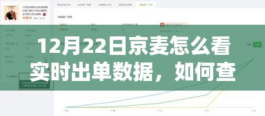 京麦实时出单数据查看指南，12月22日版，初学者与进阶用户必备步骤
