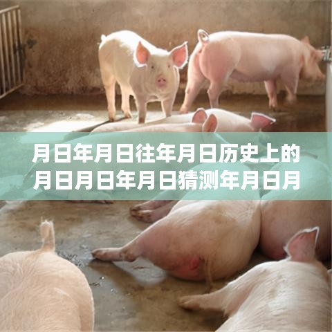 历史与未来交织，股市行情实时查询与未来预测——月日月惠天股票动态
