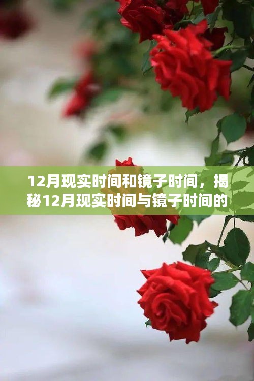 竭尽全力 第2页