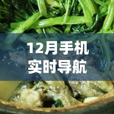 探秘巷弄深处的隐藏宝藏，12月手机实时导航系统下的独特小店揭秘
