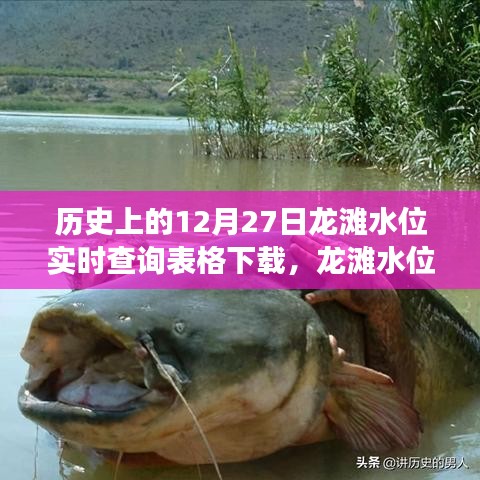 龙滩水位下的温情纽带，历史数据与友谊的温馨故事