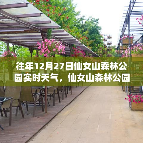 仙女山森林公园冬日启示，自信与成就感的冬日舞蹈与实时天气记录