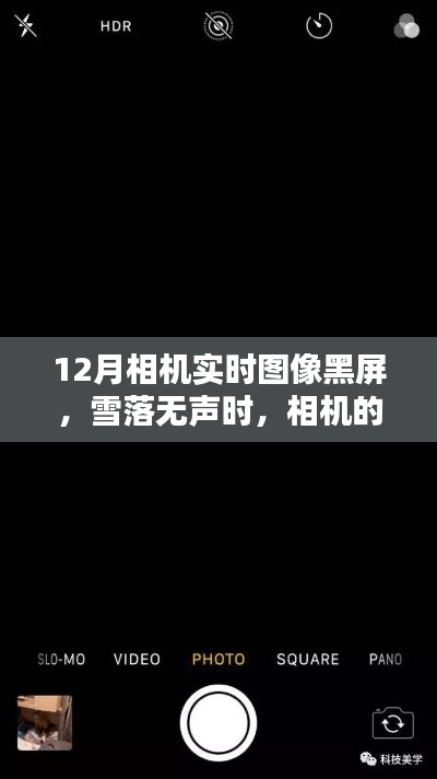 雪落无声时，相机黑屏背后的世界探索，12月实时图像黑屏之谜