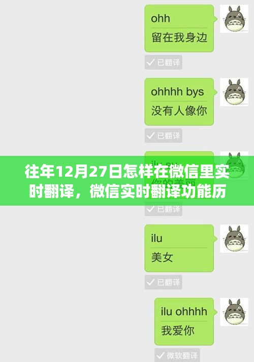 微信实时翻译功能深度评测，历年表现回顾，以12月27日为例的实时翻译体验分享