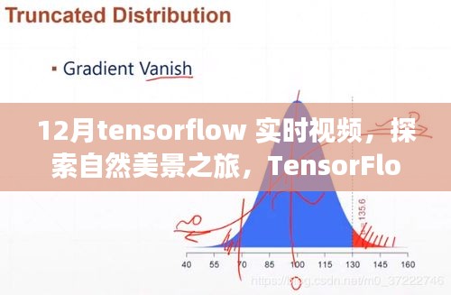 TensorFlow实时视频探索，自然美景之旅，发现内心的宁静与力量