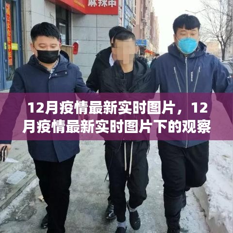从某某视角探讨疫情现状，12月疫情最新实时图片观察与思考