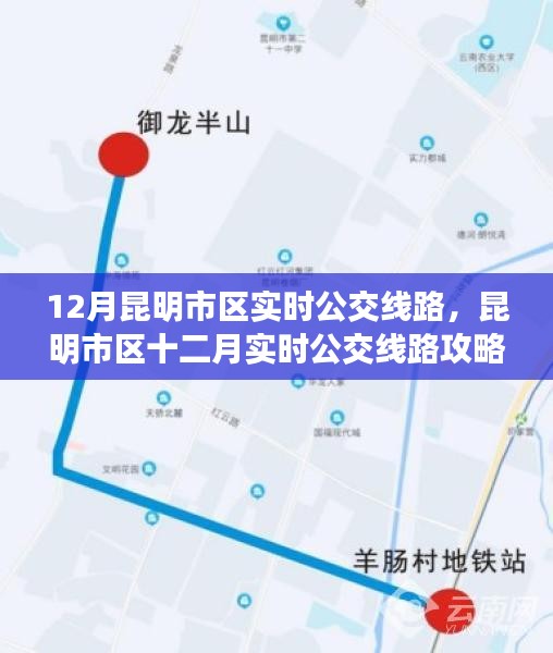 昆明市区十二月实时公交线路指南与攻略