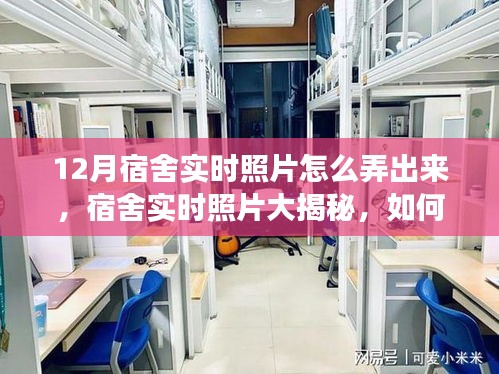揭秘宿舍生活，十二月宿舍实时照片大解密，捕捉精彩瞬间！