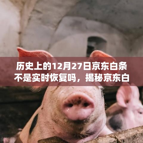揭秘京东白条，历史上的12月27日白条额度恢复及实时提升方法解析
