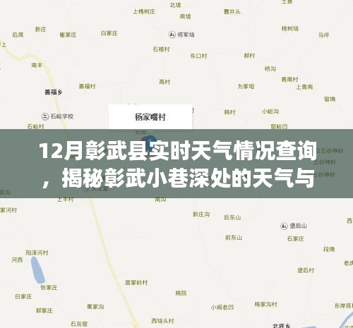 揭秘彰武县12月实时天气与小巷深处的特色小店